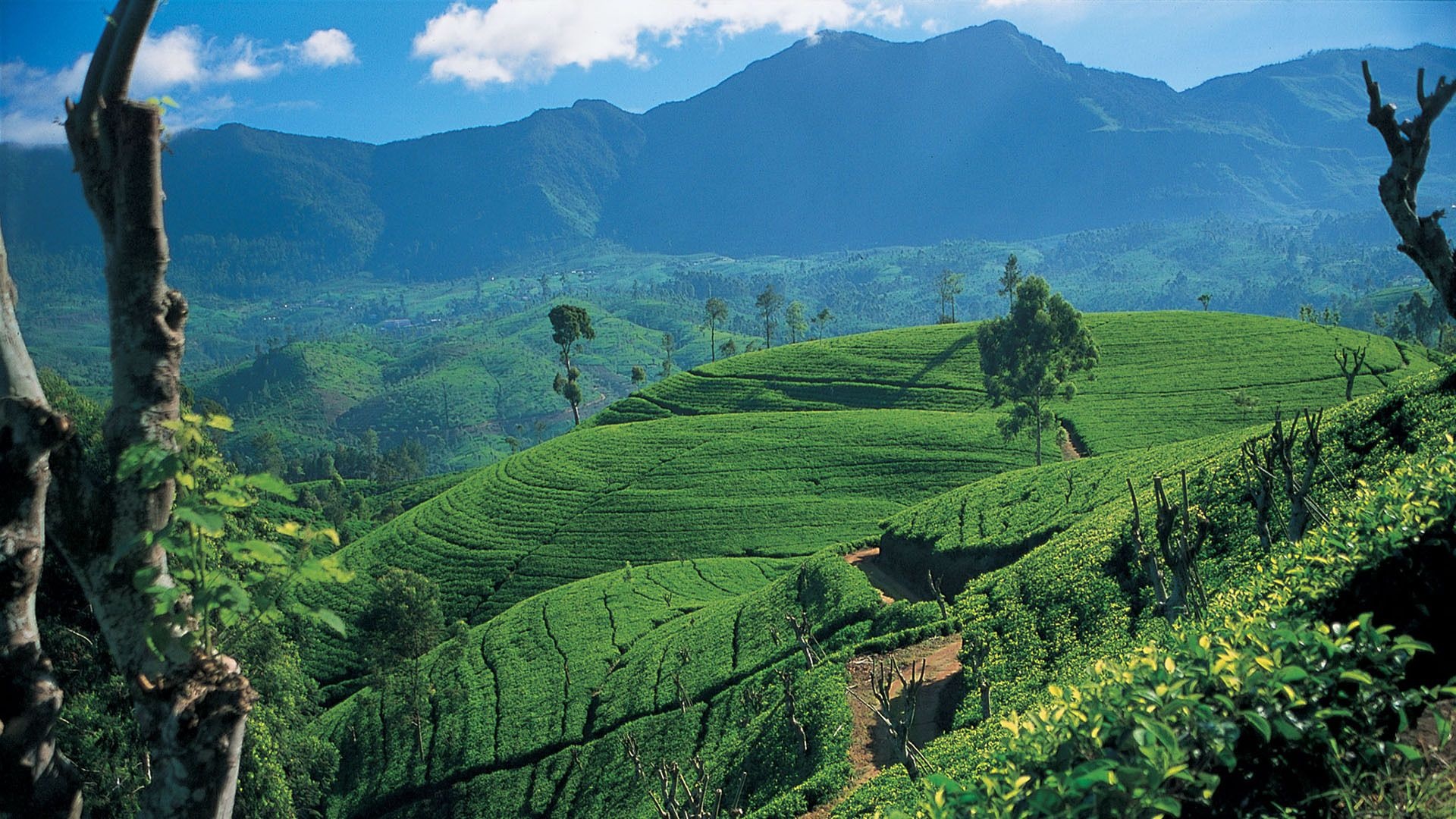 Sri Lanka Destinations <br /> & Tailored Tours